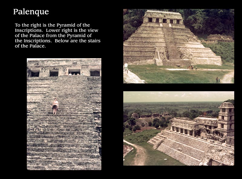 Images/page12.jpg