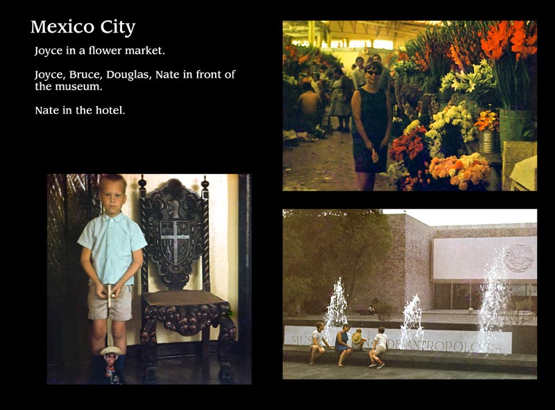 Images/page33.jpg