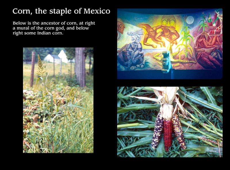 Images/page4.jpg