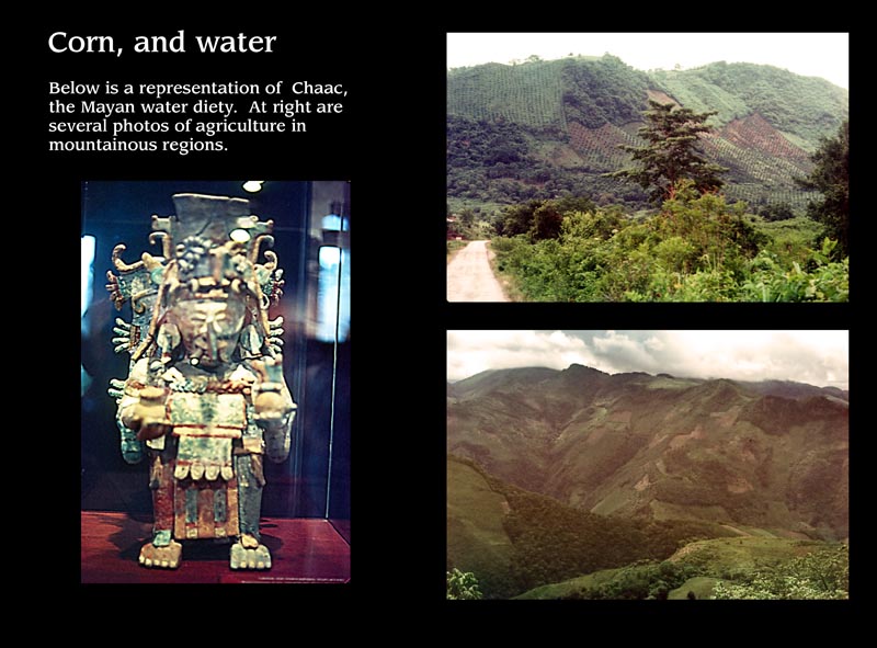 Images/page5.jpg