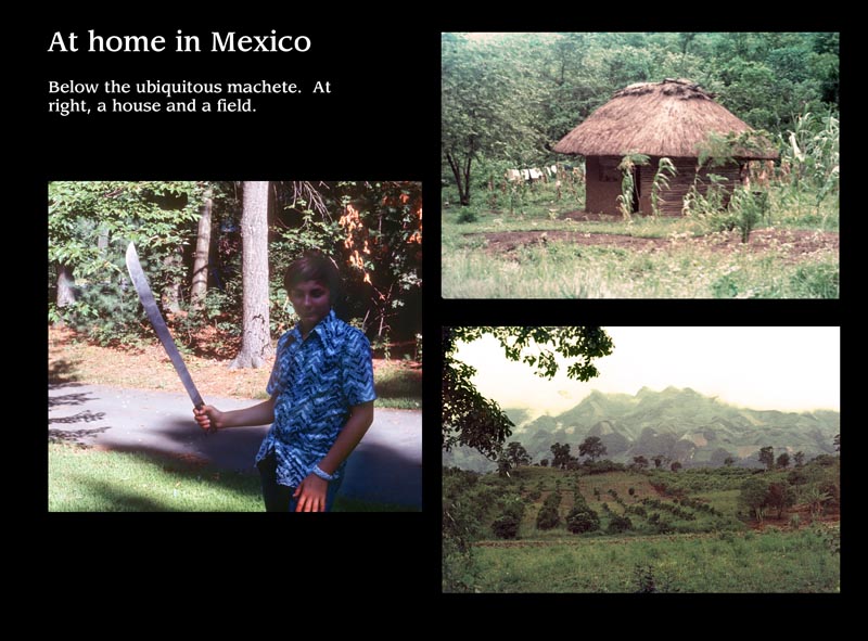 Images/page6.jpg