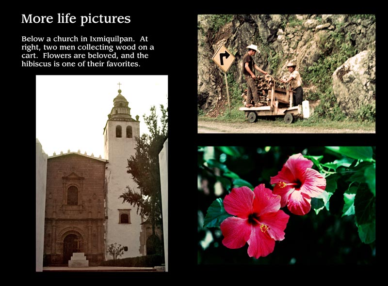 Images/page7.jpg