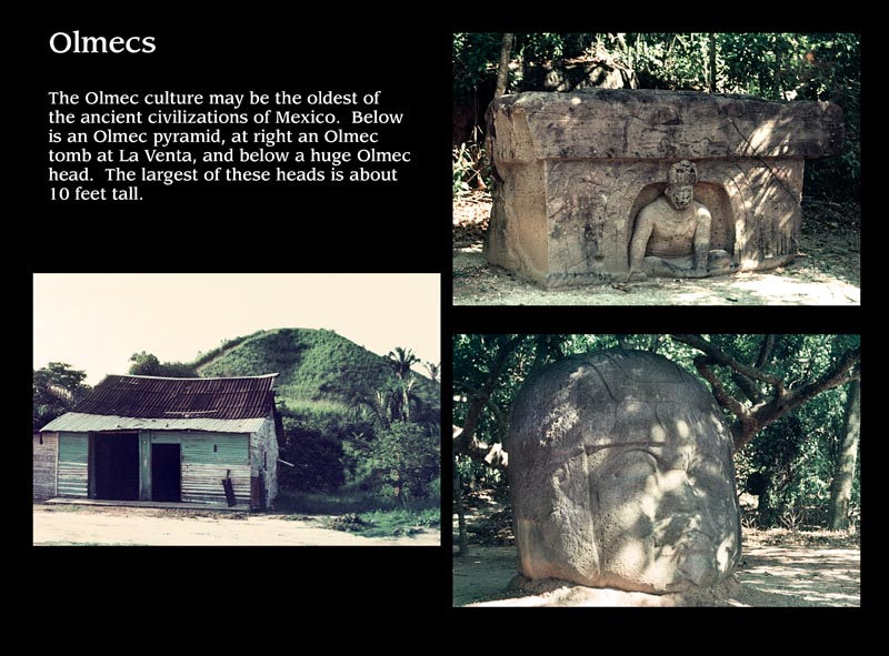 Images/page9.jpg