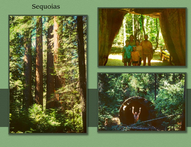 Images/page36.jpg