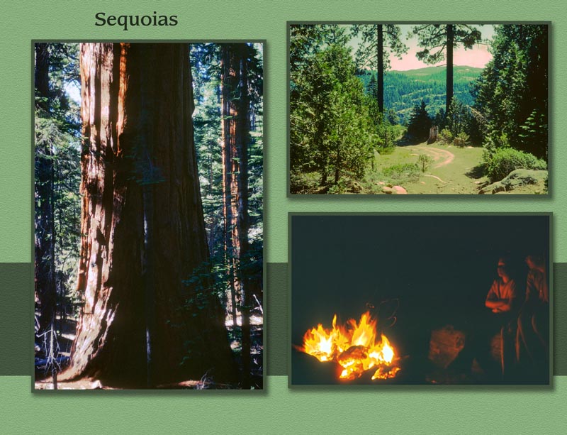 Images/page37.jpg